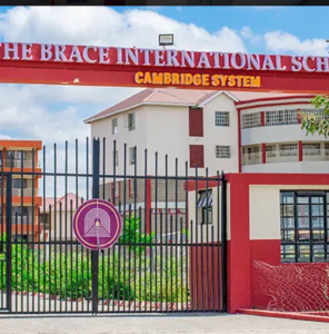 The Brace Schools