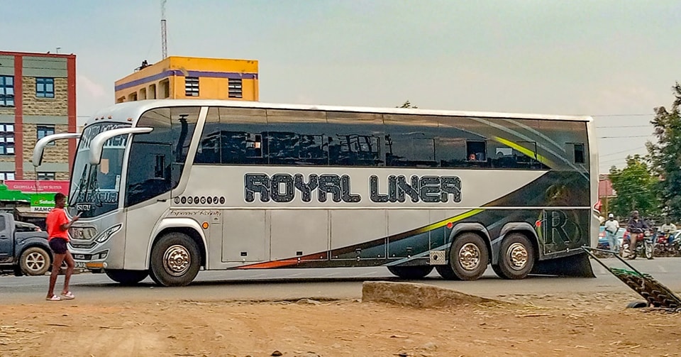 Royallinermombasakitengelabus